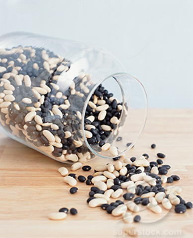 Mier Expedition "Black Bean"