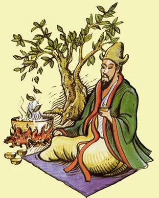 El té fermentado: Un regalo de la antigua China