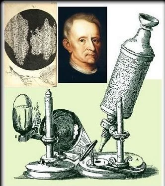 La célula: Un descubrimiento de Robert Hooke
