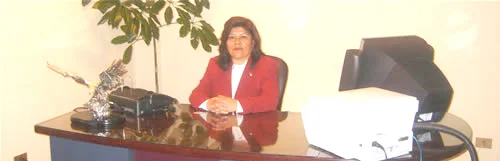 Libro Papeles de trabajo de auditoría externa e interna