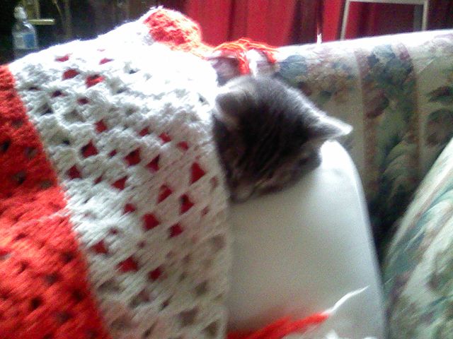 Introducing Beano (personal)