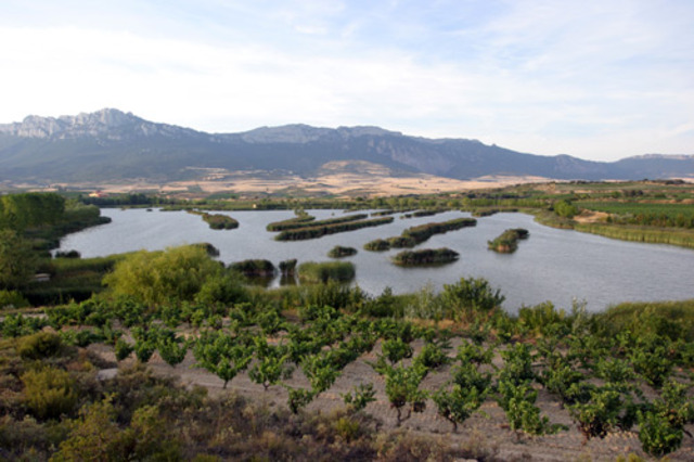 Ekosistemak. Laguardiako biotopoa ezagutu