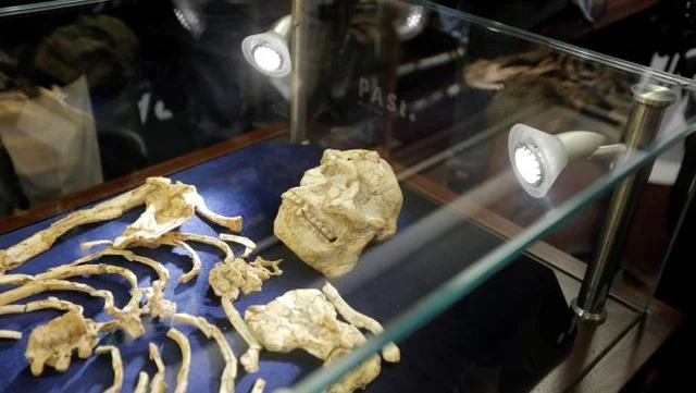 El homínido más antiguo hallado