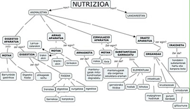 Nutrizioa