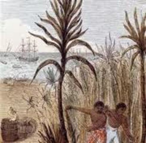 Sugar/Revenue Act of 1764