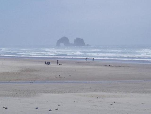 lily moved to rockaway for the summer