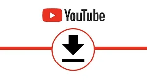 Megaupload (almacenaje vídeos grandes). Se sube el primer vídeo a Youtube.