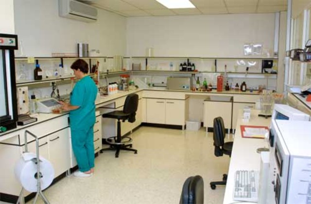 Investigación en el extranjero