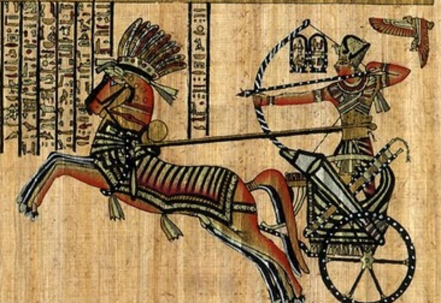 Joins ostrich and lion hunt