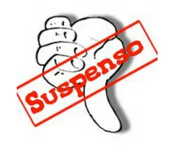 El meu primer suspens