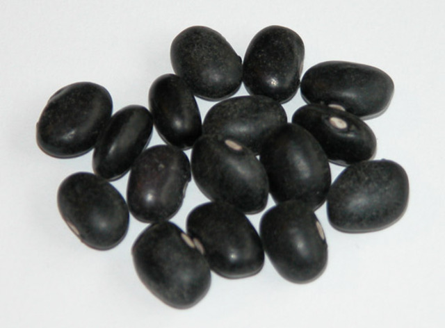 Black bean