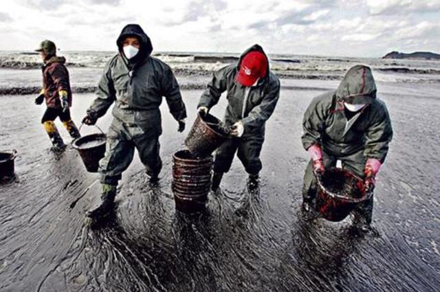 Exxon Valdez Oil Spill