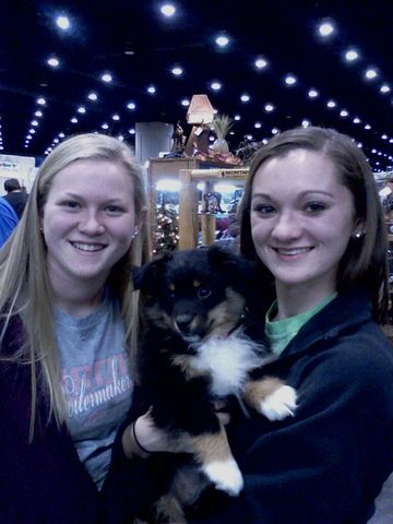 Adoptamente un perro.