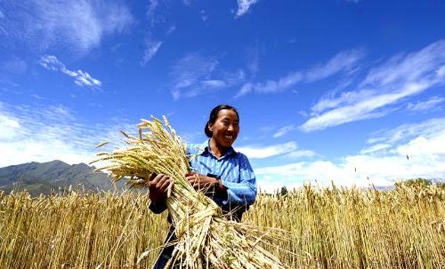 Australia to Sell Wheat to China