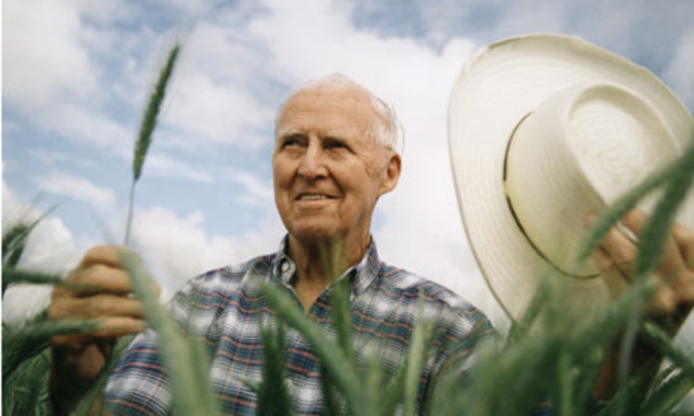Borlaug To India