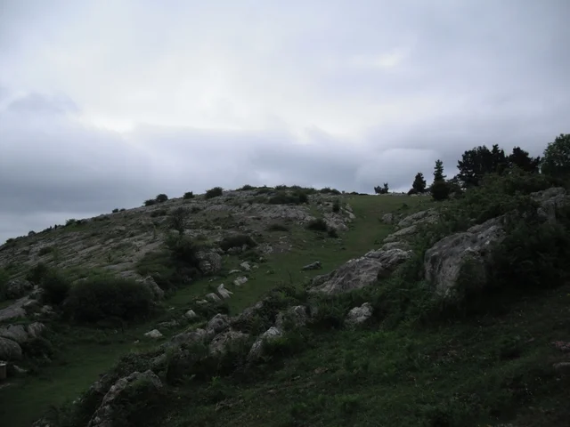 PAGASARRIREN IREKITZE PROIEKTUA