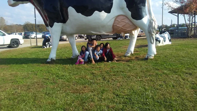 11 years old (quite boring year)