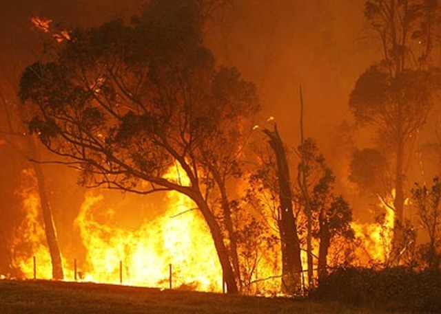 Melbourne Bushfires