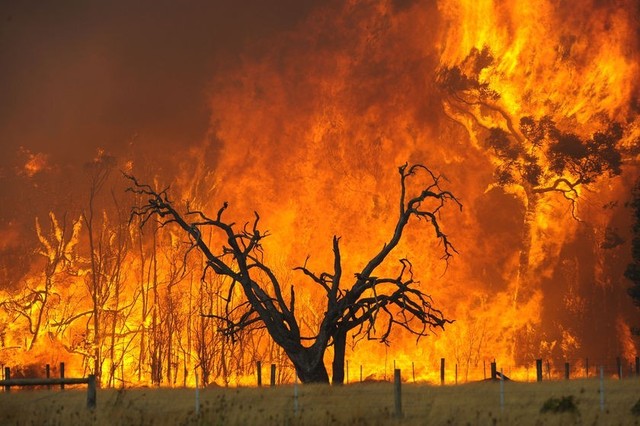 Bushfires