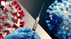 Cronograma del COVID-19 (6 parte)