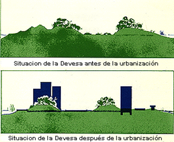 Durante el Plan de Urbanización se rellenaron casi la totalidad de malladas que se extendían por la Devesa. La arena utilizada para el aterramiento procedía de las dunas móviles arrasadas.