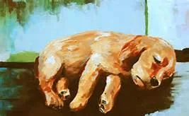 Puppy dies.
