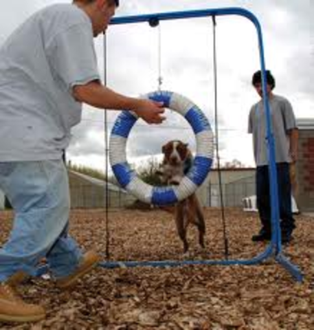 Project Pooch inagurated