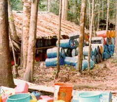 La Policía de Colombia descubre los complejos de Tranquilandia y Villacoca en las selvas del Caquetá que eran utilizados para el procesamiento y tráfico de drogas ilícitas