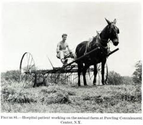 First documented case of AAI in the US