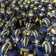 Michigan football