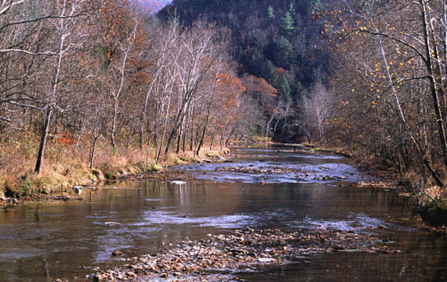 Yo viajé a Virginia