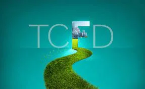 Divulgación de Información sobre Finanzas