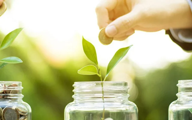 Bonos de Transición