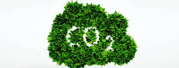 Mercado Mexicano de Carbono