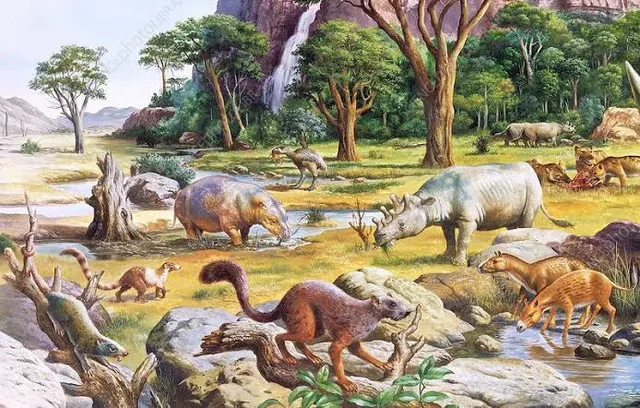 Paleogeen