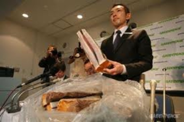 Whaling on Trial: Vindication