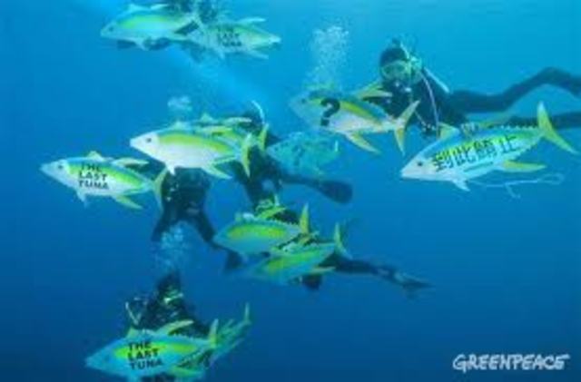 Princes changes its tuna