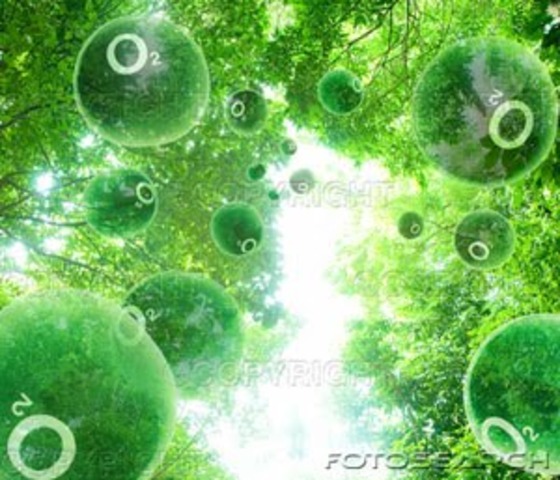 ''Ανακάλυψη'' του οξυγόνου