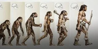 Homo Sapiens begin to Rise