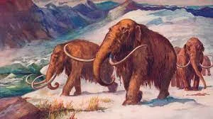 Beginning of the Last Ice Age