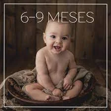 6 a 9 meses