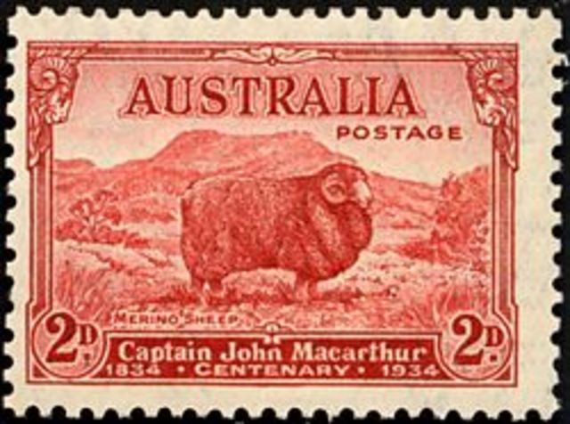 John Macarthur largest sheep producer in Australia