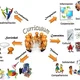 Curriculum