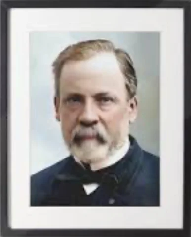 Healing of Joseph Meister by Louis Pasteur