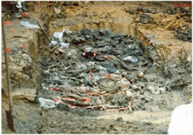 Decleration of 4 Validated Genocides other than Srebrenica