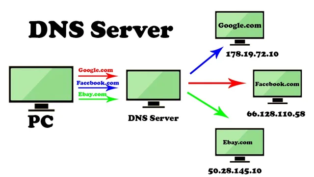 DNS