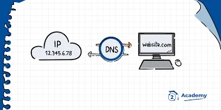 DNS