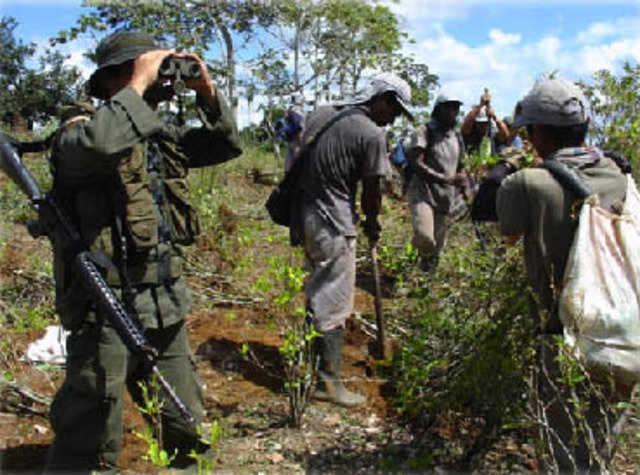 President Bill Clinton gives $1.3 billion in aid to Plan Colombia, an effort to decrease the amount of cocaine produced in that nation.