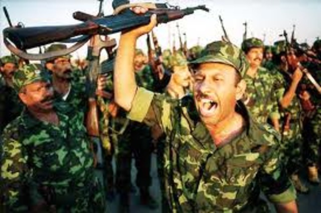 United Nation Security Council