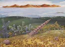 Ordoviitsium